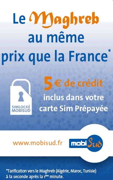 ALCATEL OTE-207 Mobisud