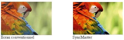 Samsung SyncMaster 2493HM