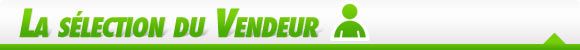 la selection du vendeur