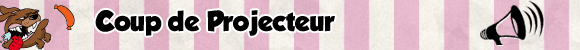 Soldes Boucherie - coup de projecteur