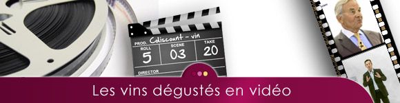 Vins en video