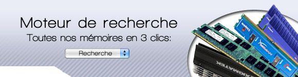 Moteur de recherche memoire