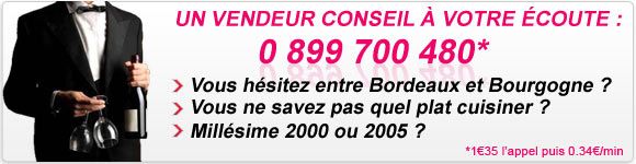 Hotline Vin - Conseil - achat vin - champagne