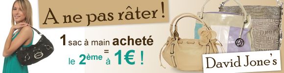 Bagages / Sacs � main / David J