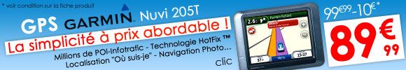 Garmin 205T