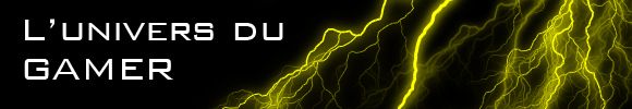 Univers du gamer