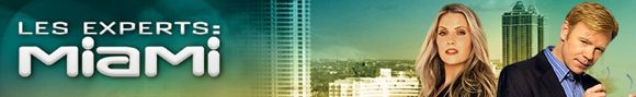 Les experts miami