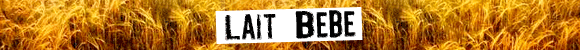 Bio lait bébé