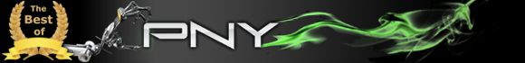 PNY Graphique VGA