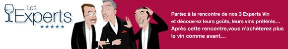 Les experts-tetiere 580