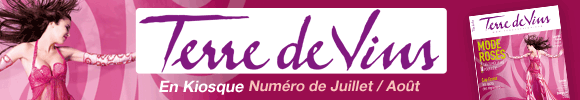 Terre de Vins - Pessac Leognan
