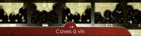 pt cave � vins