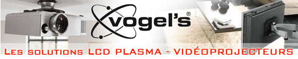bandeau vogels
