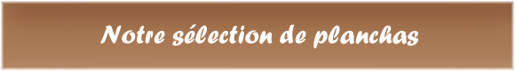 La Selection Planchas