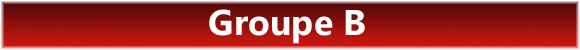 euro 2008 groupe b