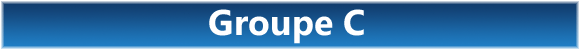 euro 2008 groupe c