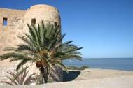 paysage Tunisien - Guide voyage Tunisie