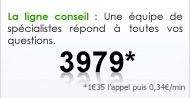 Ligne Conseil Informatique