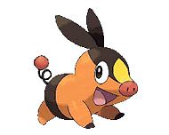 pokemon noir et blanc