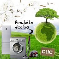 ELECT/ECOLO