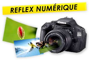 reflex numérique