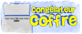 Congélateur coffre