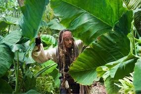 Pirates des Caraibes 4