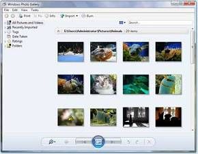 Microsoft Windows Vista Edition Familiale Basique