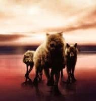 Twilight 4 Revelation