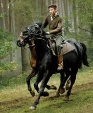 Cheval de guerre
