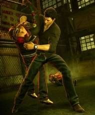 Sleeping Dogs
